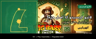 پاکستان کا بہترین گیمنگ پلیٹ فارم